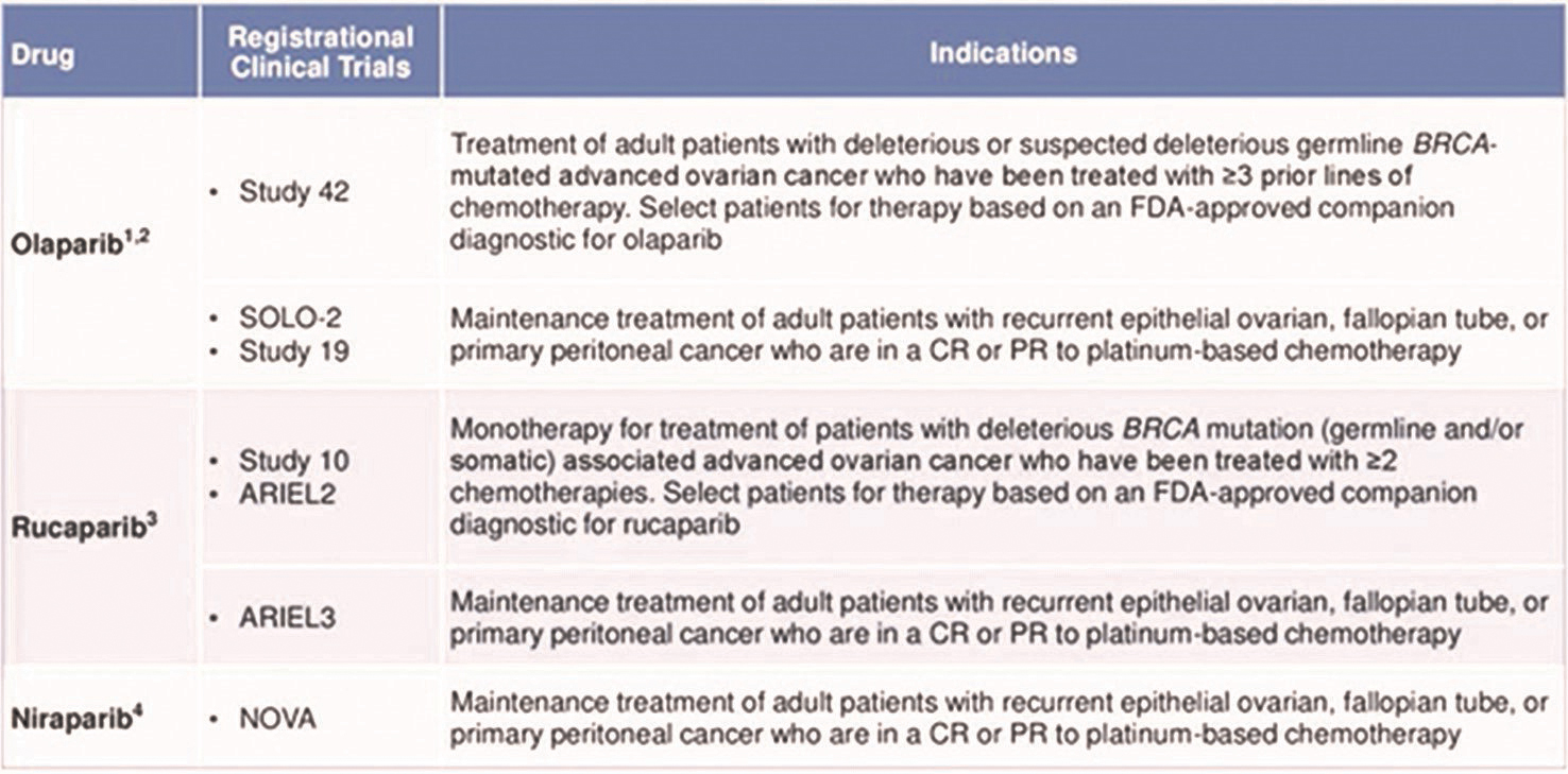 Fig. 4 Summary of FDA-approved PARP inhibitors. BRCA, breast-related cancer antigens; FDA, Food and Drug Administration; PARP, poly (ADP-ribose) polymerase.