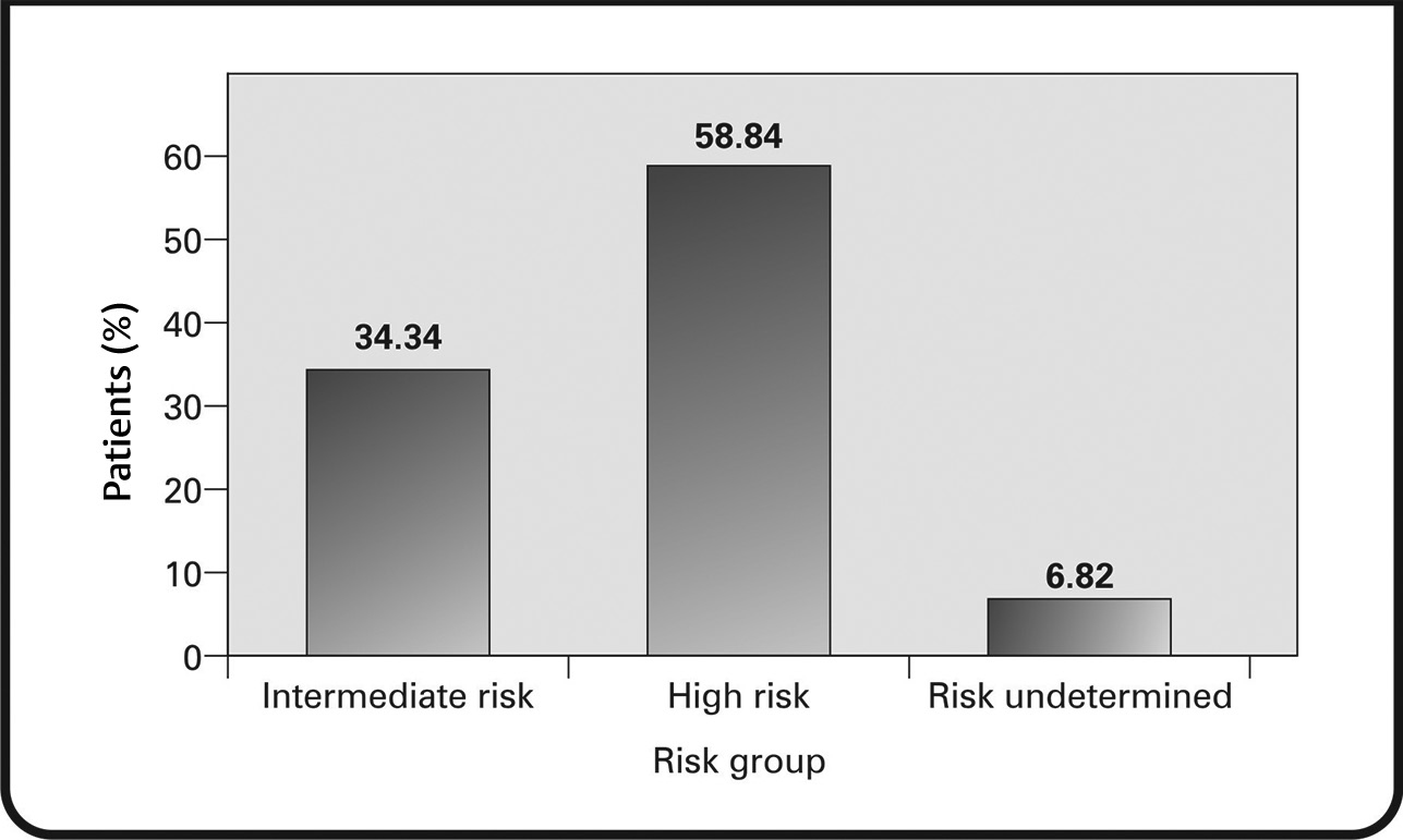 Fig. 3 Risk stratification of patients.