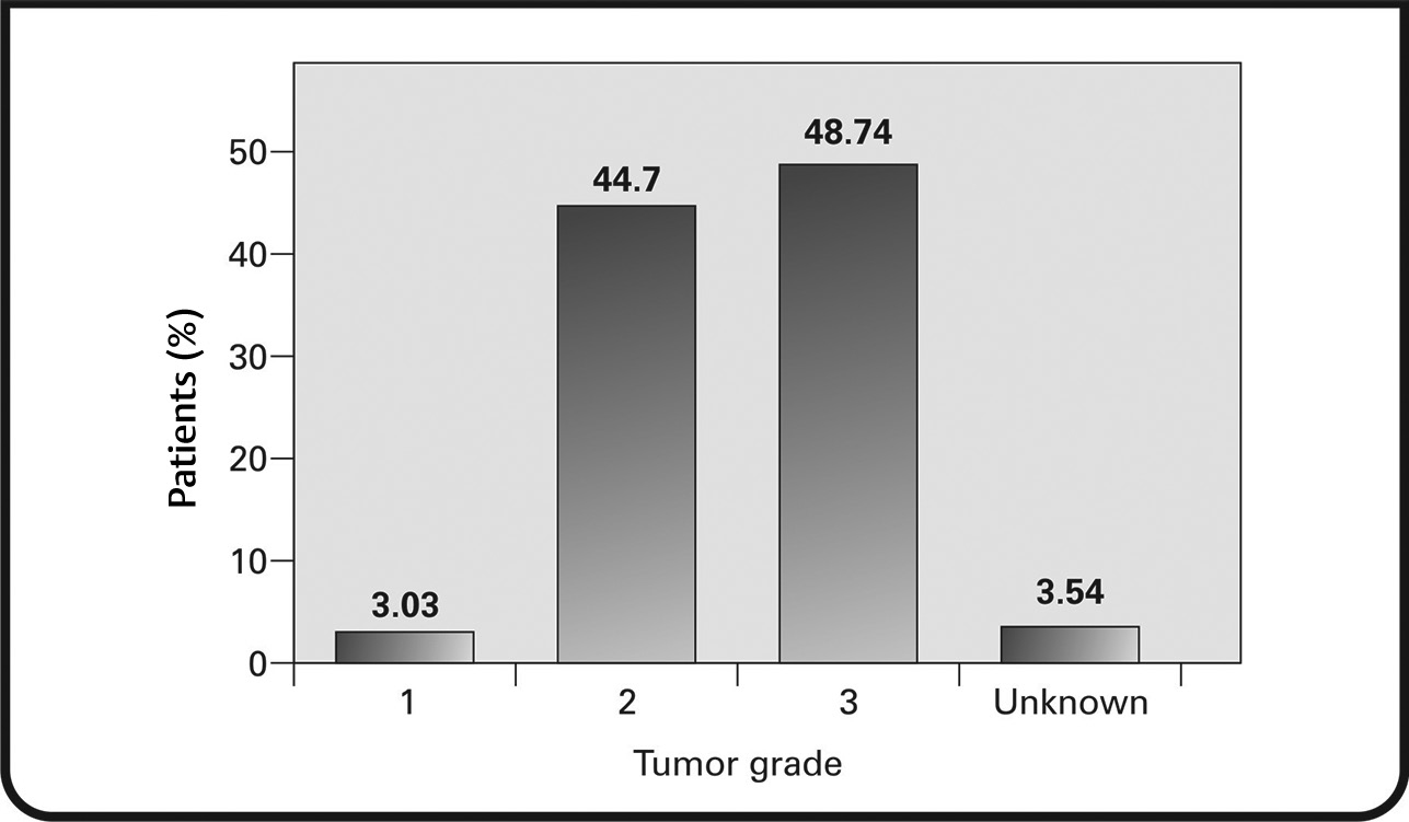 Fig. 6 Tumor grading based on TNM criteria.
