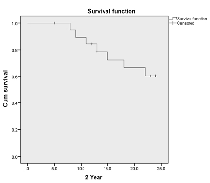 Fig. 1 Kaplan–Meier curve for 2-year survival postchemoradiation.