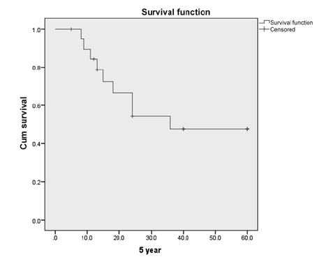 Fig. 2 Kaplan–Meier curve for 5-year survival postchemoradiation.