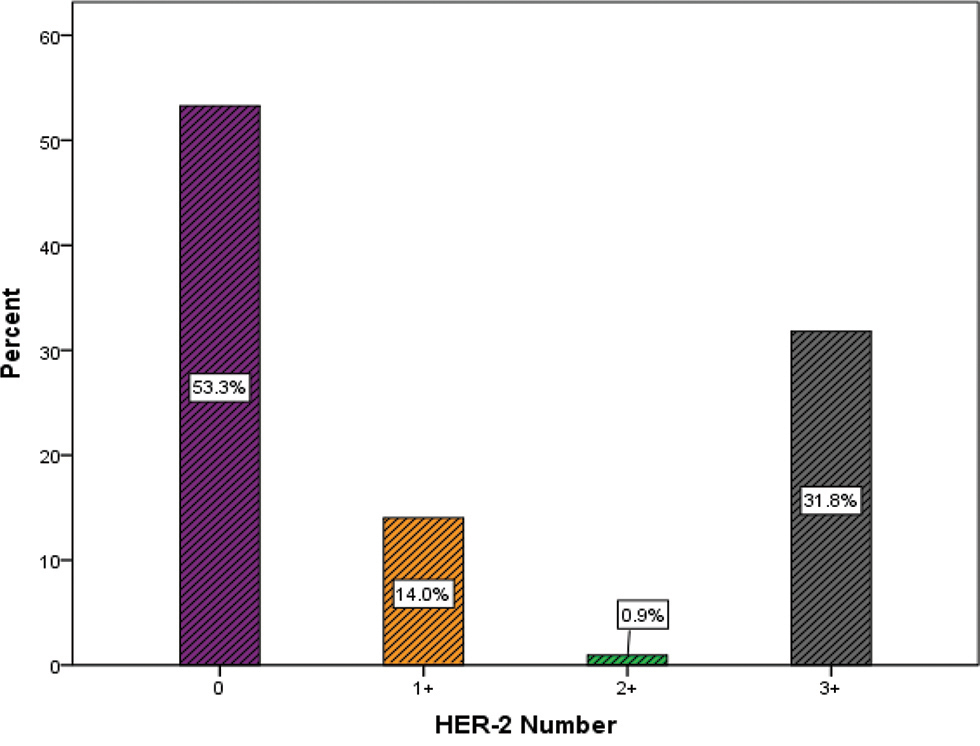 Fig. 3 Her-2/neu positivity.