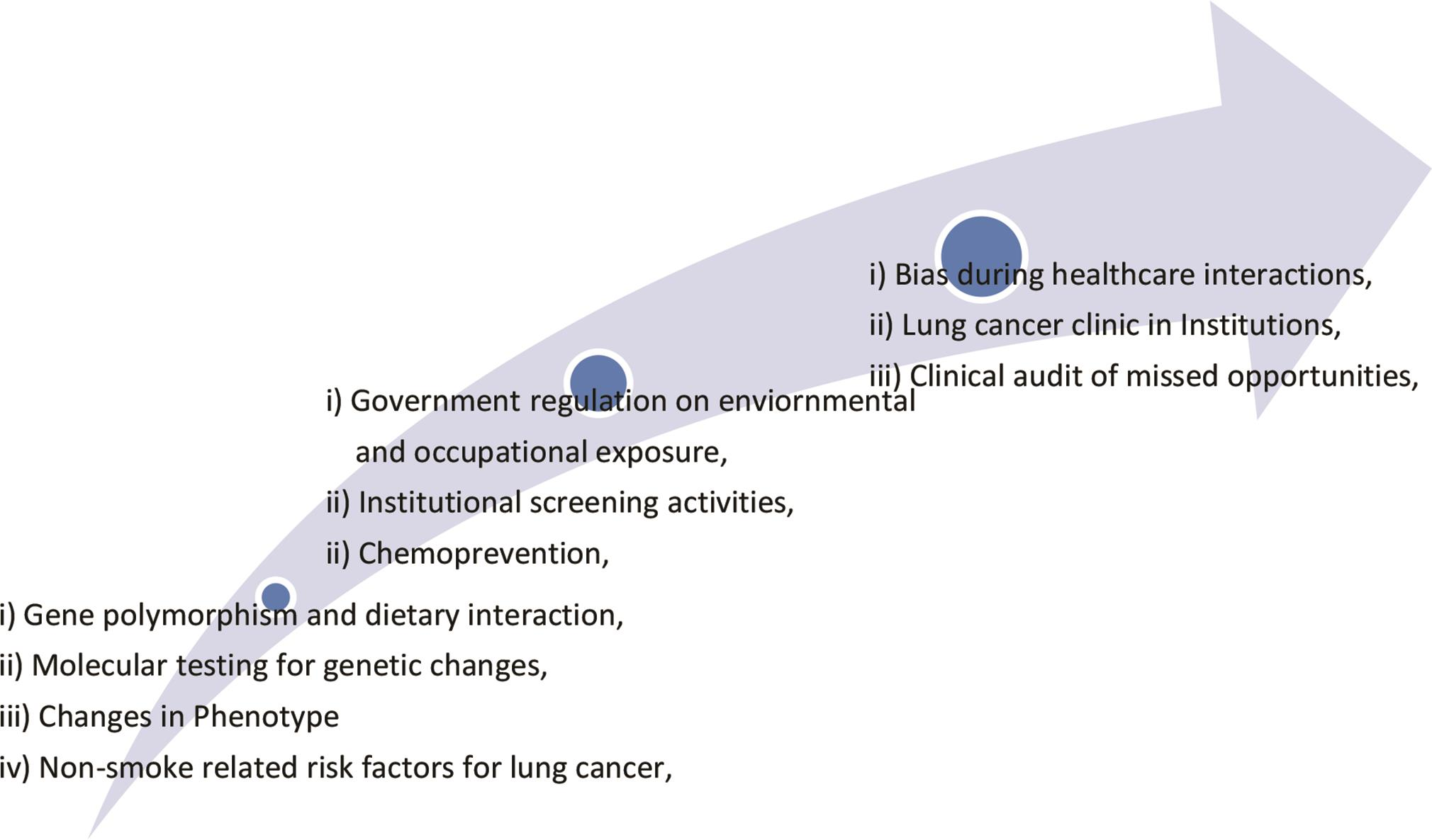 Fig. 2 Focus areas in cancer prevention.