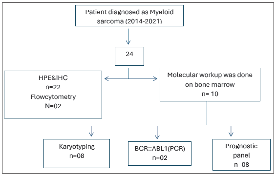 Flowchart to show workup of the cases. BCR-ABL1: Breakpoint cluster region and abelson murine leukemia 1(name of a gene),PCR: Polymerase chain reaction, HPE: Histopathological examination, IHC: Immunohistochemistry